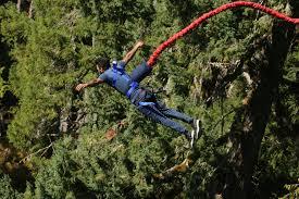 Bungee