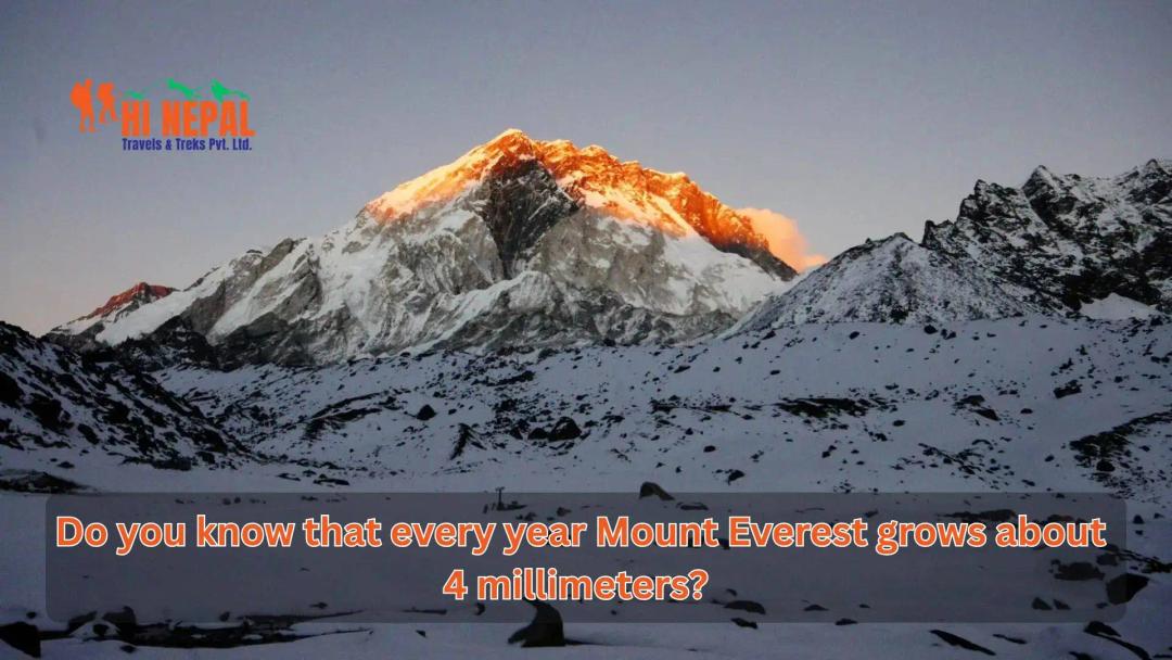 Top 10 Surprising Facts About Mount Everest that will Boost Your IQ