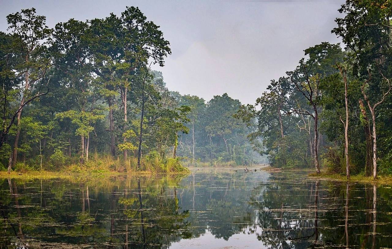 Chitwan Jungle Safari 2026: Jeep Safari & Tiger Tours