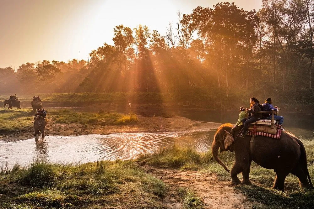 Chitwan National Park - Tour