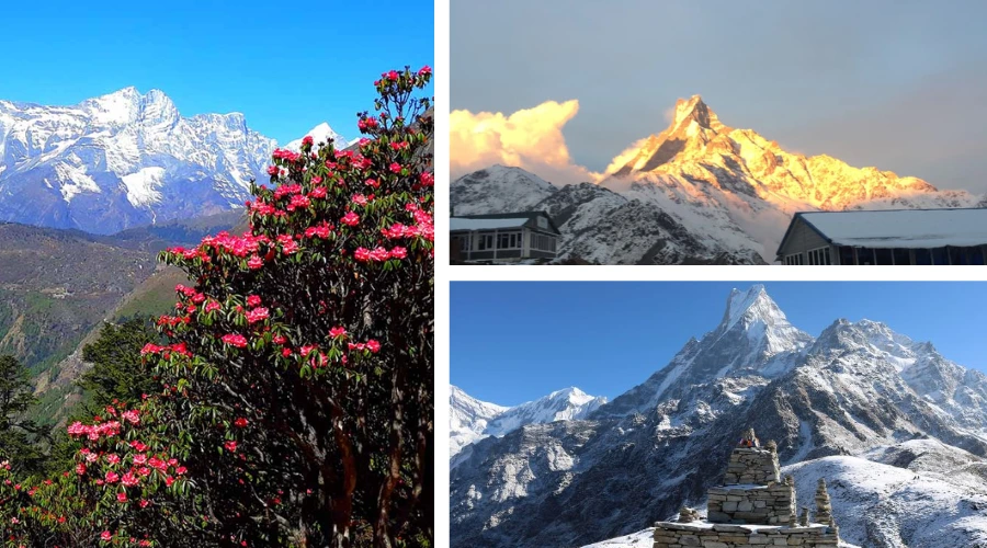 Mardi Himal Base Camp Trek in different Season