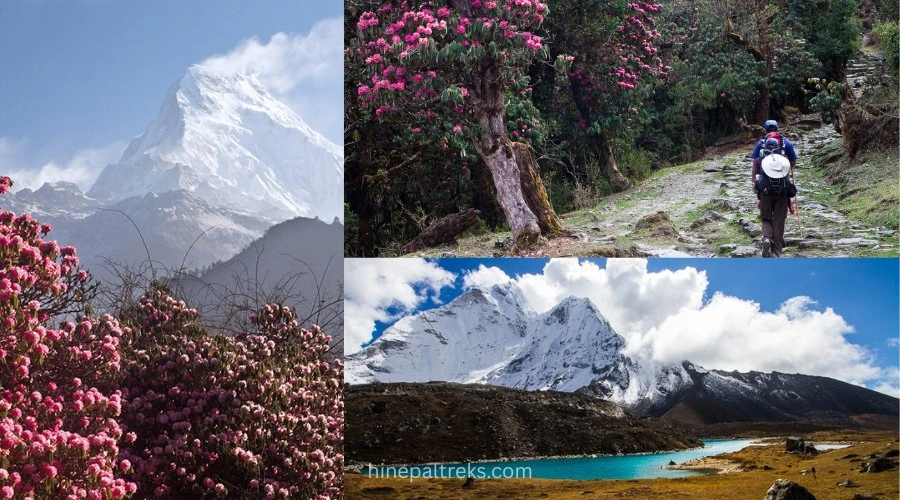 Best time for trekking in nepal - A beautiful trekking trail of nepal in spring season