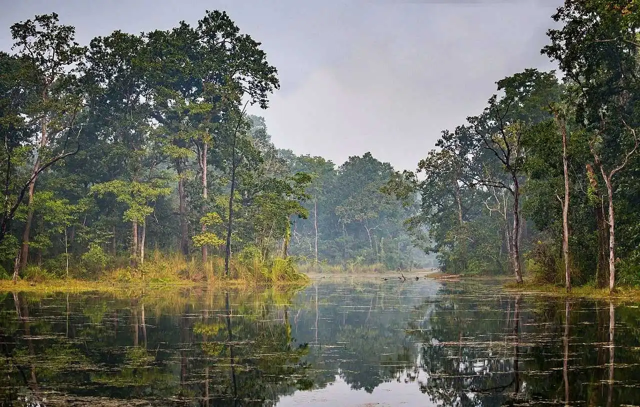 Chitwan National Park Tour