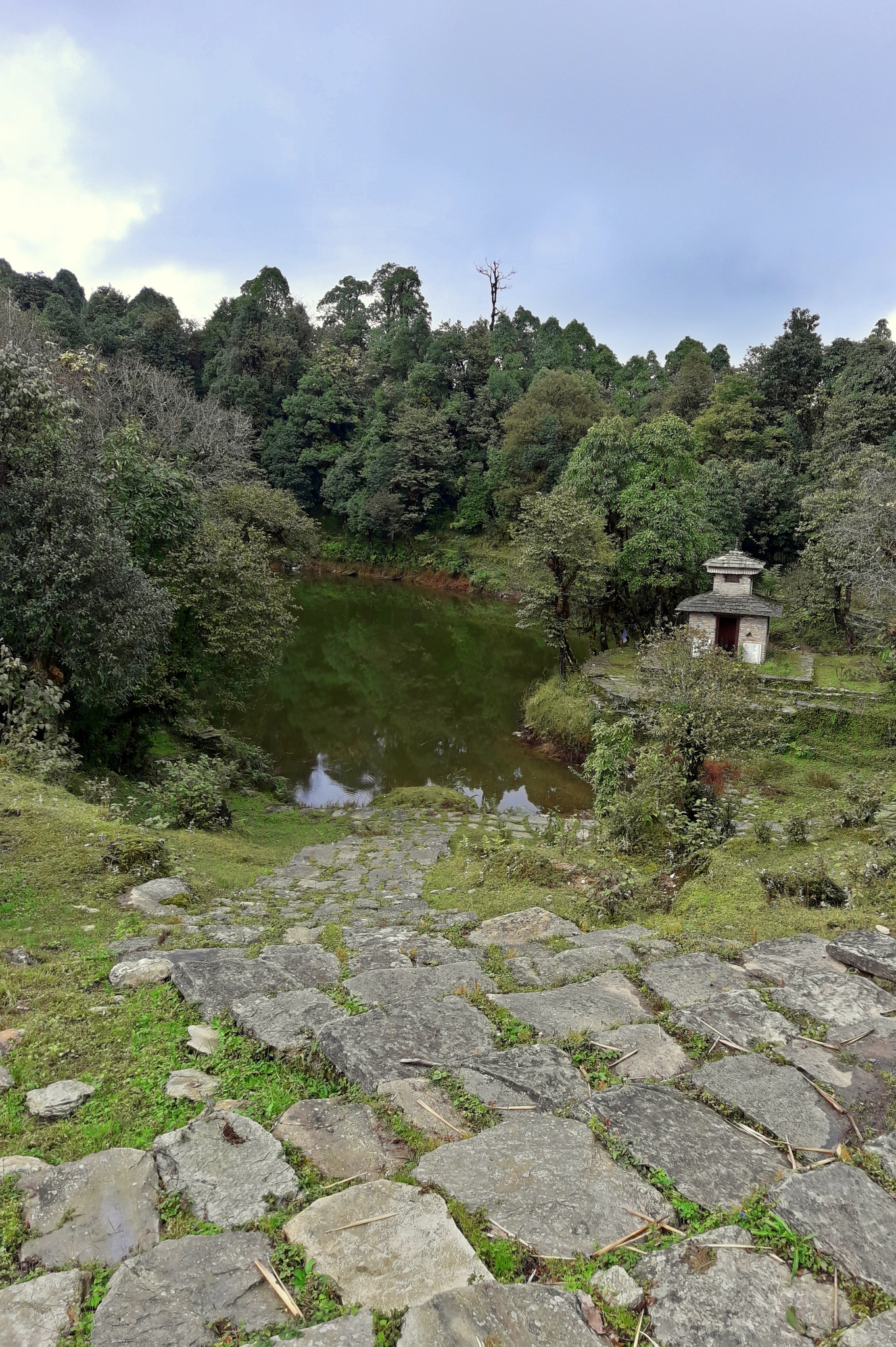 Panchase Trek: A Short Hike From Pokhara
