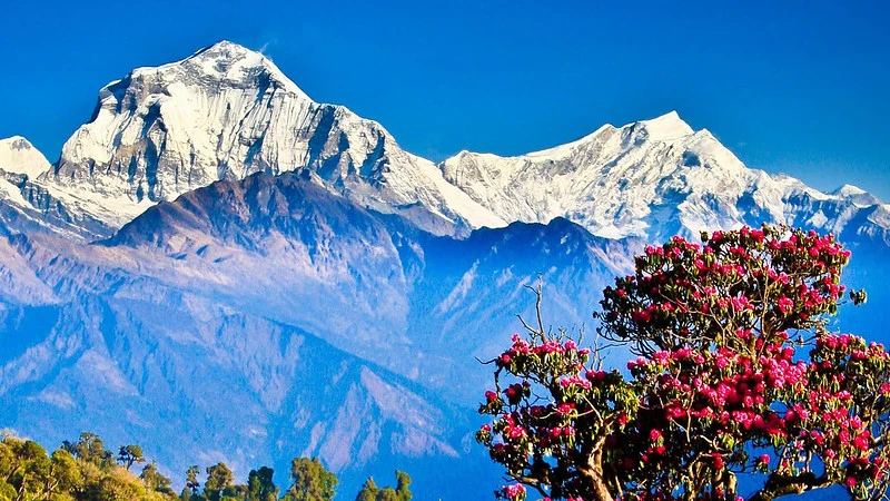 Ghorepani Poon Hill Trek